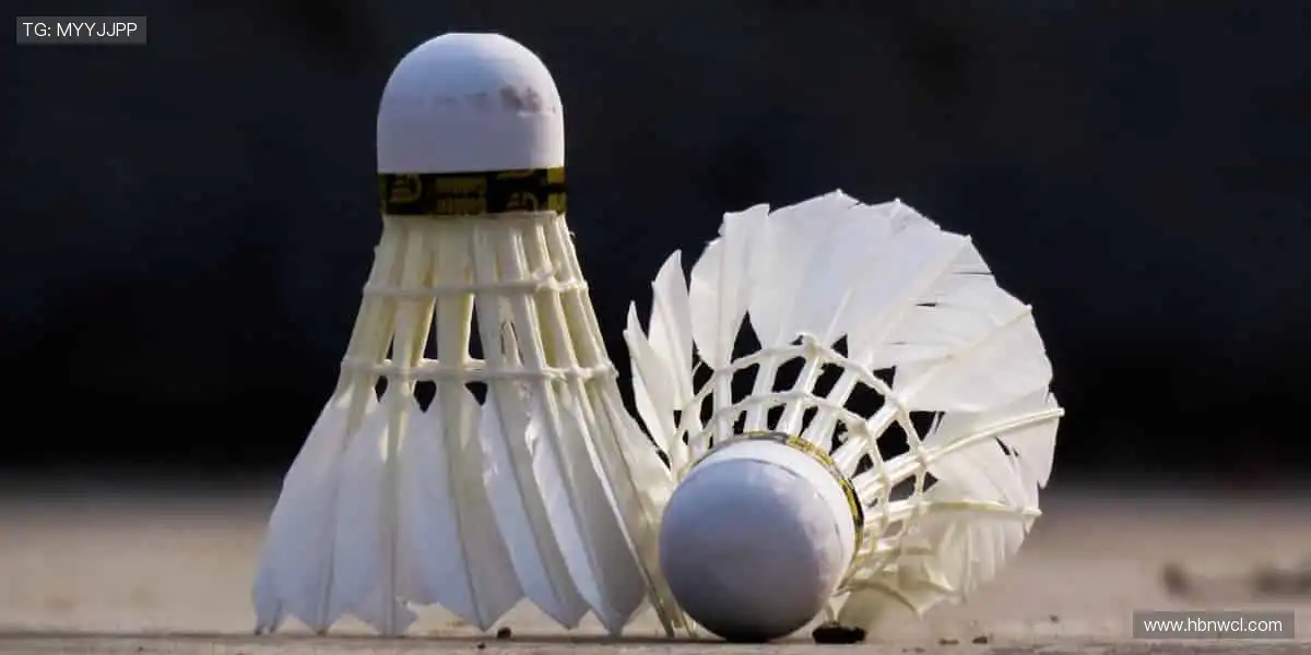 限量周边,专属荣耀,让热爱永不缺席!🔥